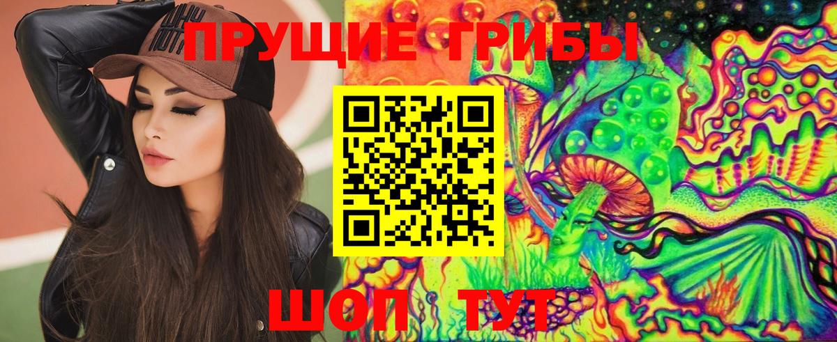 Галлюциногенные грибы Psilocybe Нурлат