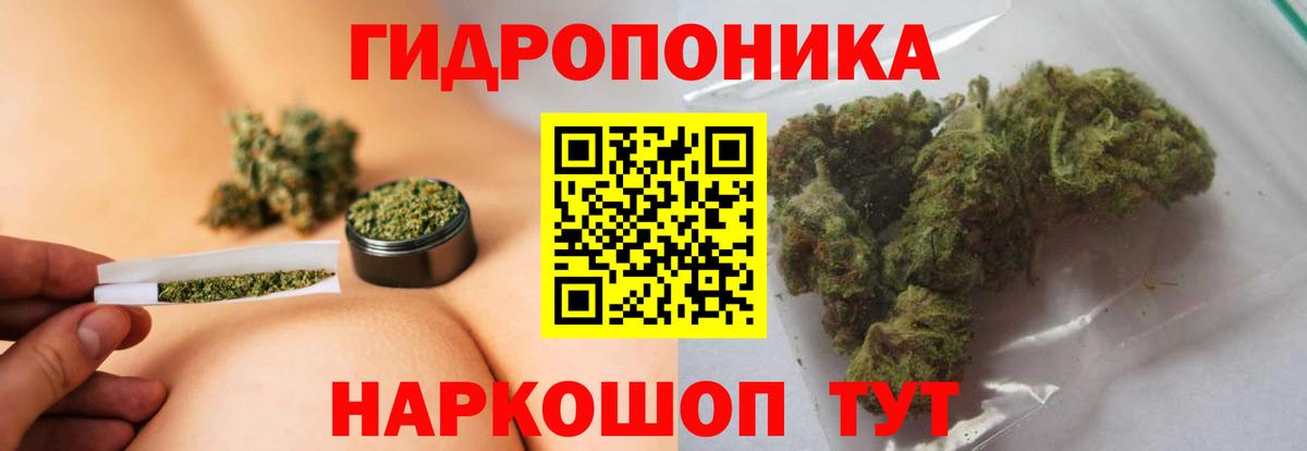 Конопля гибрид Нурлат